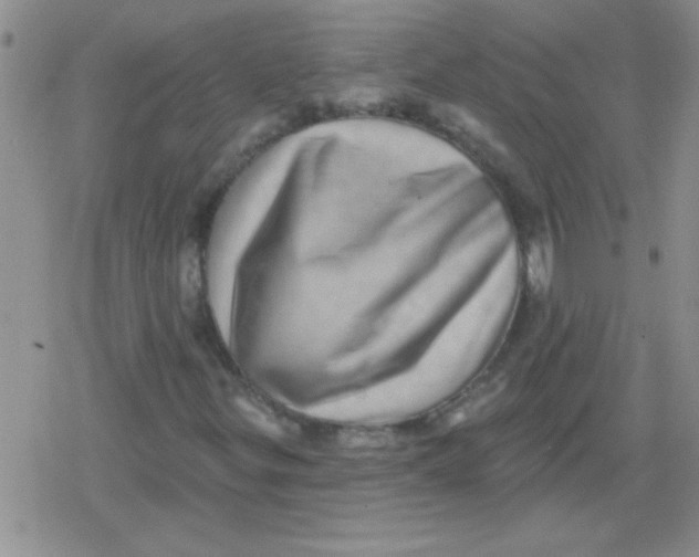 X0000079331299200612081949