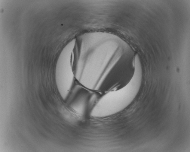 X0000079331300200612081949