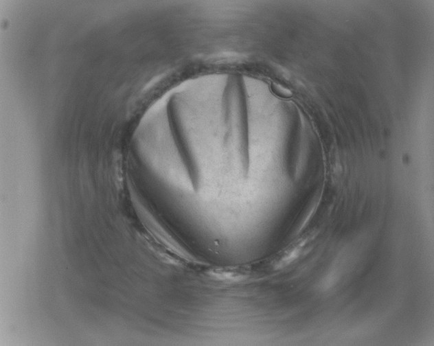X0000079331301200612081949