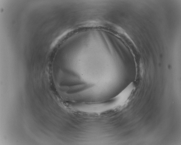 X0000079331304200612081949