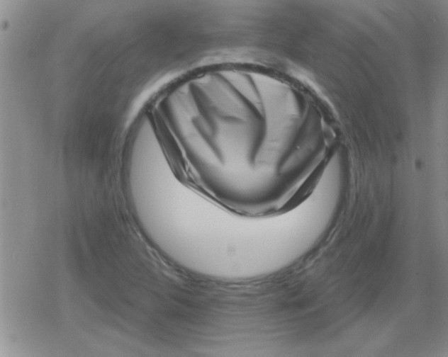 X0000079331312200612081949