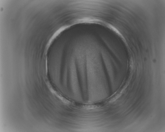 X0000079331323200612081949