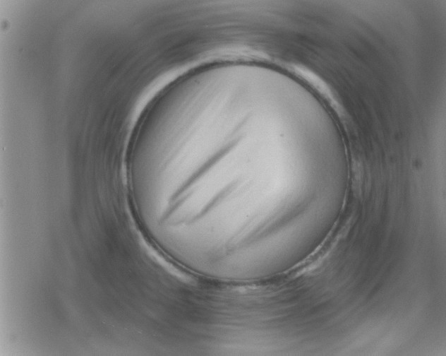 X0000079331335200612081949
