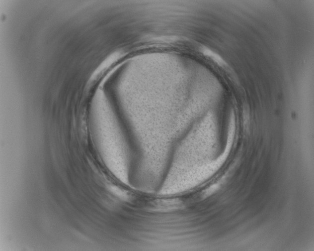 X0000079331354200612081949