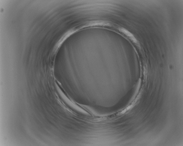 X0000079331369200612081948