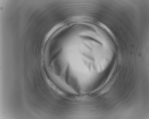 X0000079331386200612081948