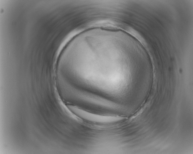 X0000079331392200612081948