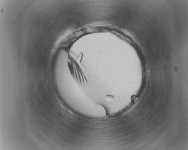 X0000079331406200612081947