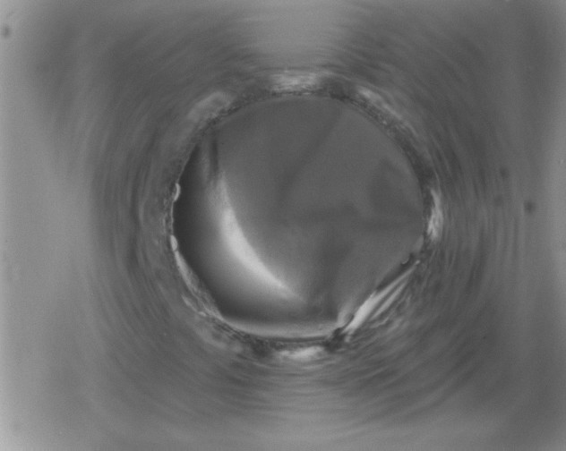 X0000079331441200612081947