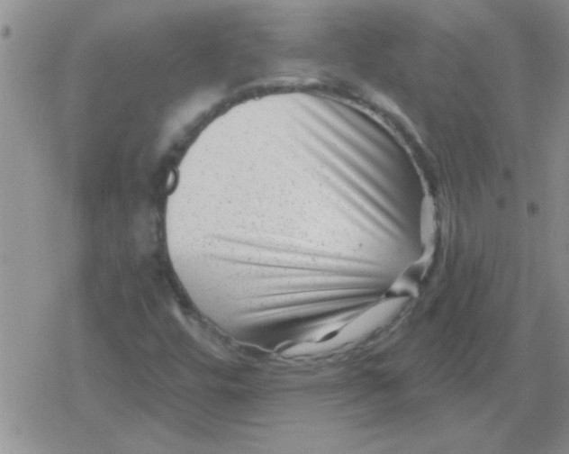 X0000079331448200612081947