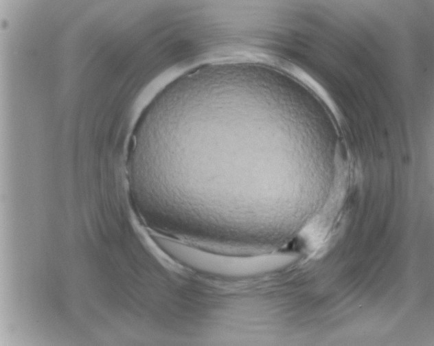 X0000079331485200612081947
