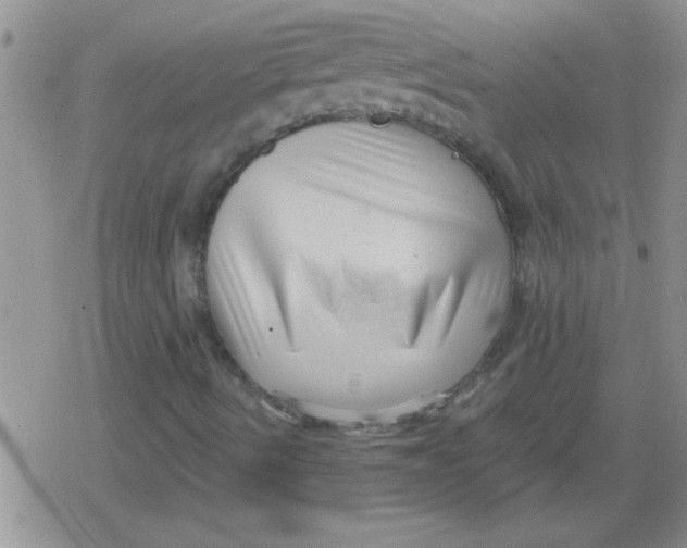 X0000079331490200612081946