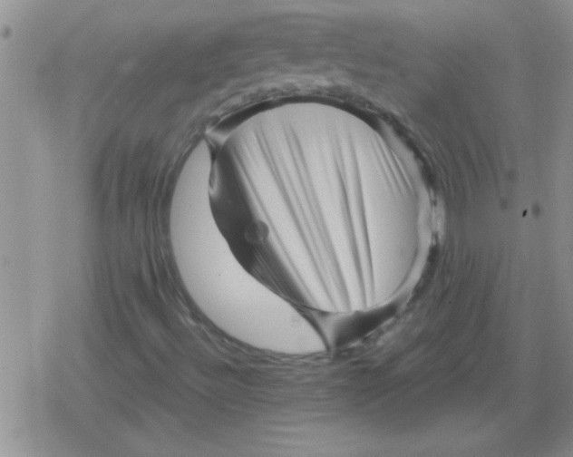 X0000079331492200612081946