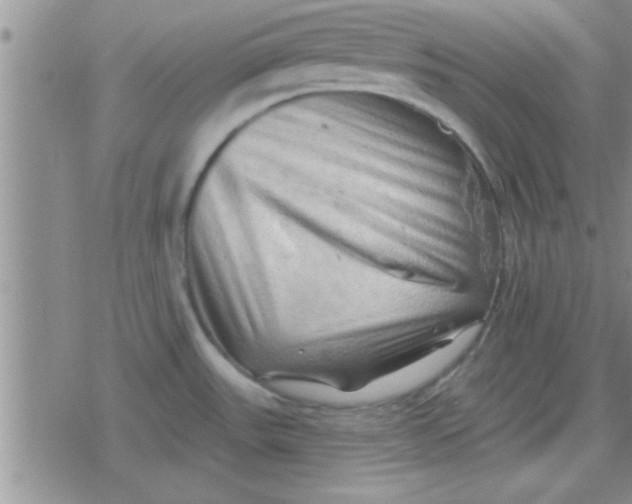 X0000079331531200612081946