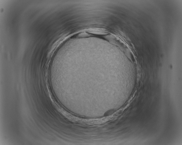 X0000079330001200612151854