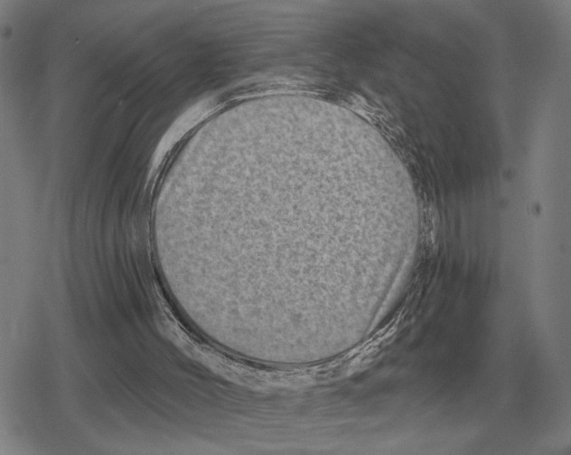 X0000079330004200612151854