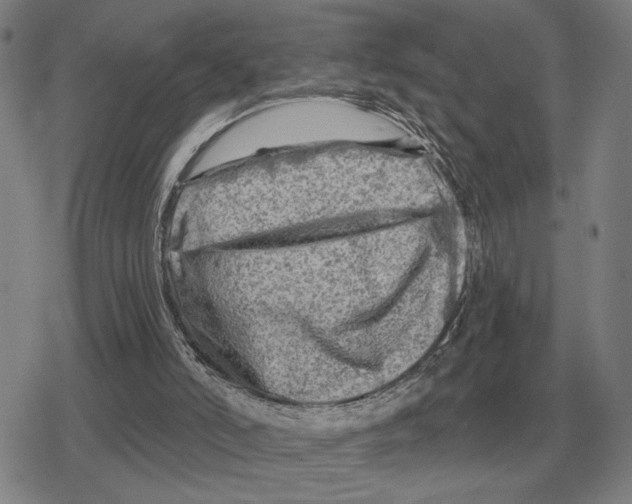 X0000079330006200612151854