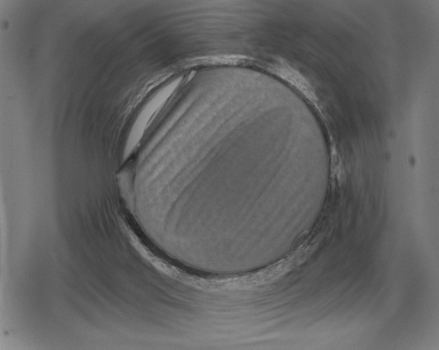 X0000079330013200612151854