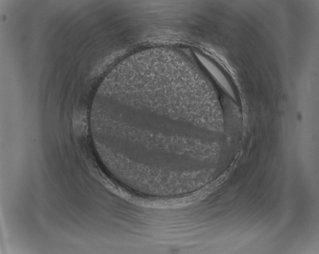 X0000079330017200612151853
