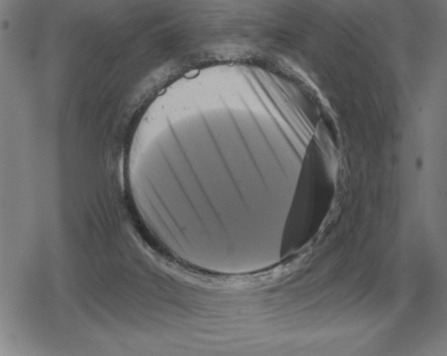 X0000079330019200612151853