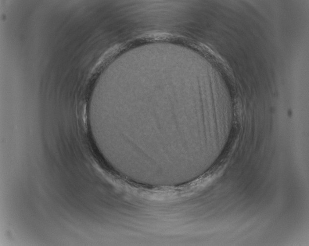 X0000079330024200612151853