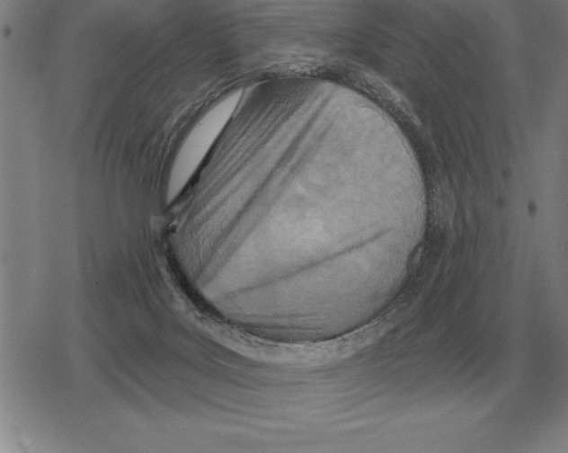 X0000079330027200612151853