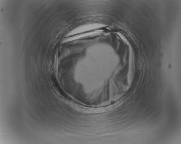 X0000079330031200612151853