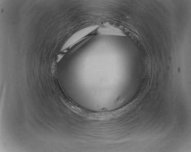 X0000079330033200612151853