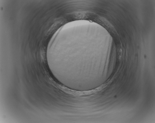 X0000079330035200612151853