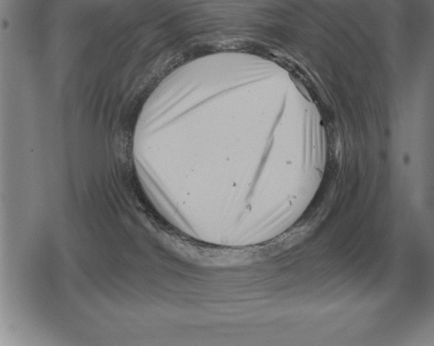 X0000079330044200612151853