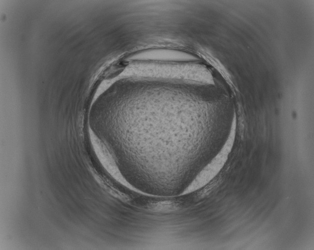 X0000079330058200612151852