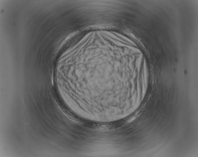 X0000079330062200612151852