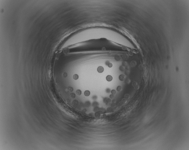 X0000079330063200612151852