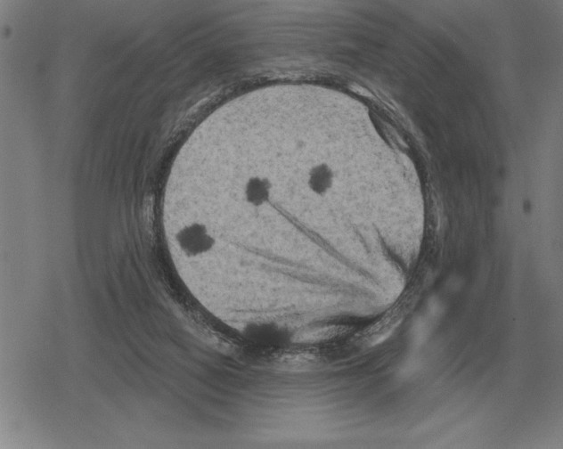 X0000079330066200612151852