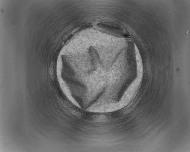 X0000079330074200612151853