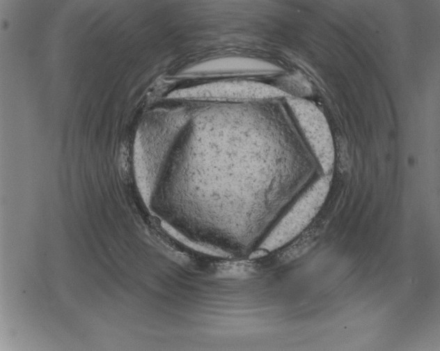 X0000079330077200612151853