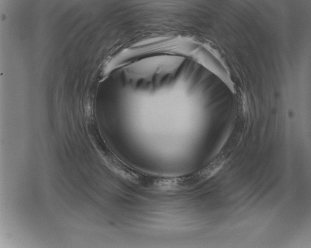 X0000079330084200612151853