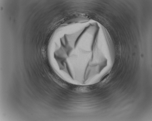 X0000079330086200612151853