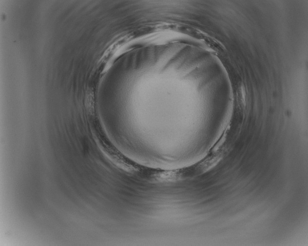 X0000079330092200612151853