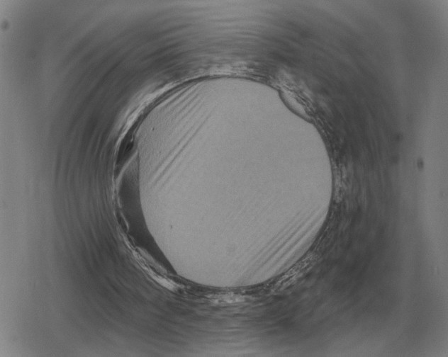 X0000079330098200612151852