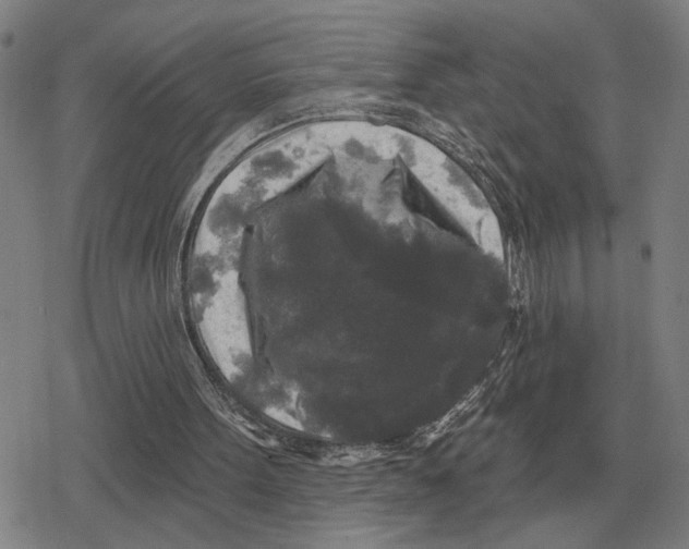 X0000079330099200612151852