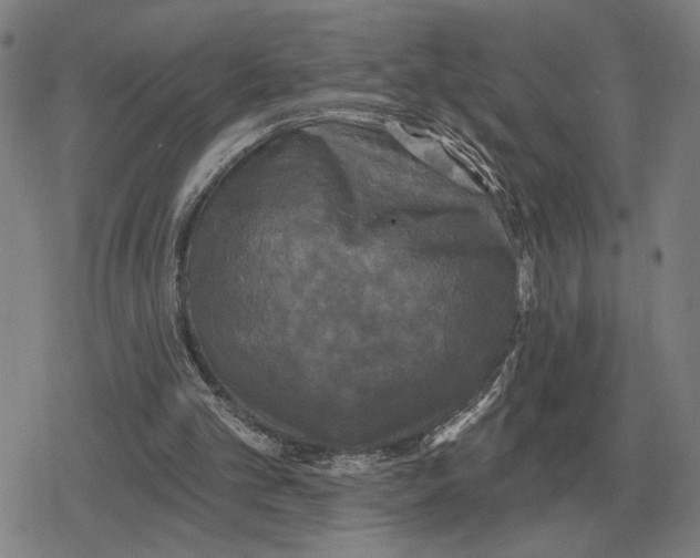 X0000079330101200612151852