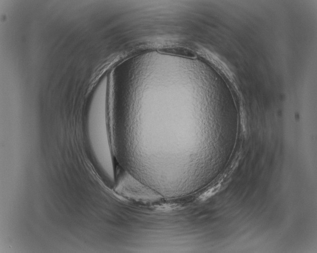 X0000079330105200612151852