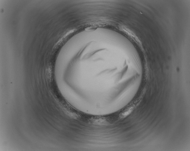 X0000079330113200612151852