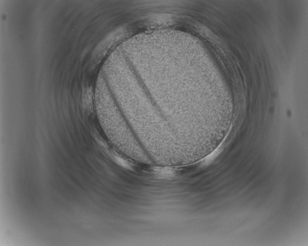 X0000079330144200612151851