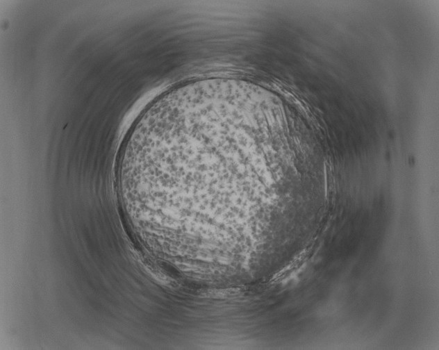 X0000079330147200612151851