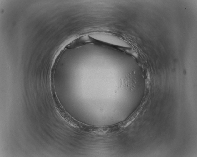 X0000079330148200612151851