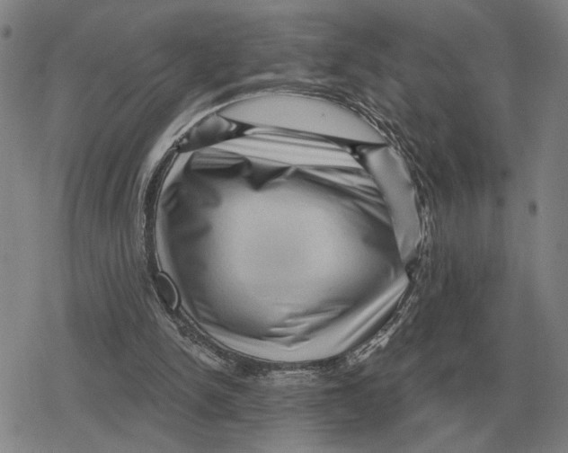 X0000079330150200612151851