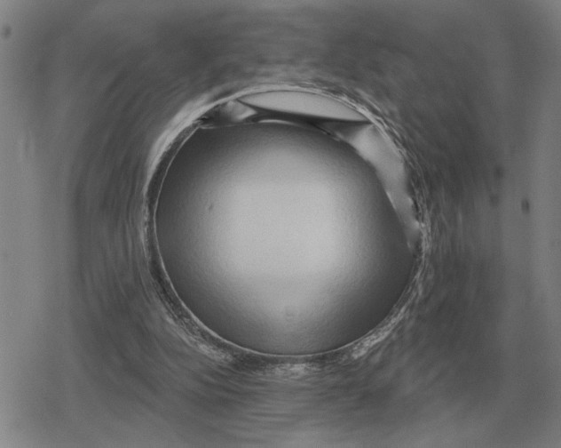 X0000079330152200612151851