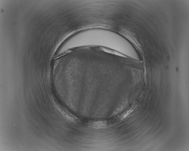 X0000079330156200612151851